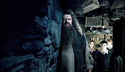 Harry Potter ve Zümrüdüanka Yoldaşlığı : Fotoğraf Emma Watson, David Yates, Daniel Radcliffe, Rupert Grint