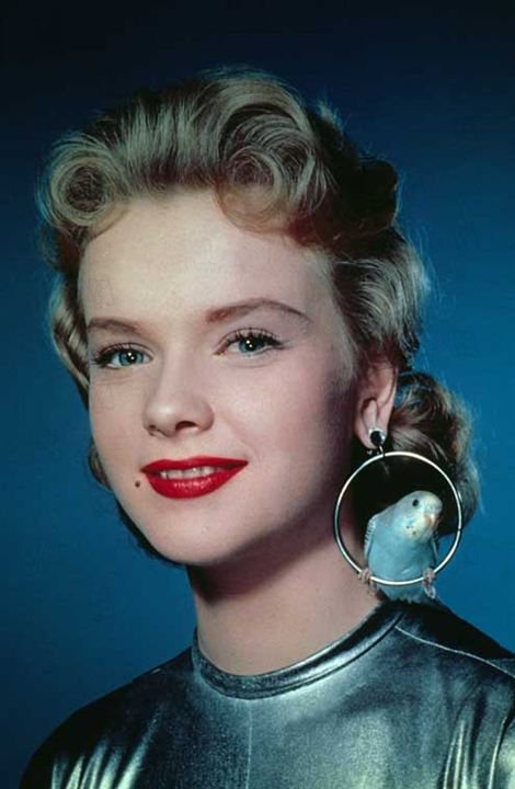 Yasak Gezegen : Fotoğraf Anne Francis, Fred M. Wilcox