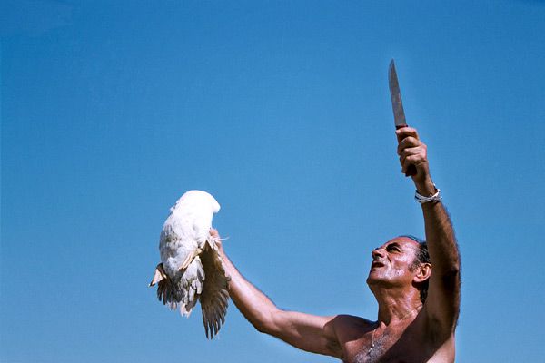 Fotoğraf Richard Bohringer