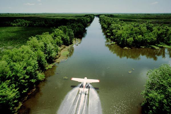 Fotoğraf Greg MacGillivray