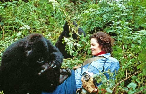 Gorillas In the Mist : The Story of Dian Fossey : Fotoğraf Michael Apted, Sigourney Weaver