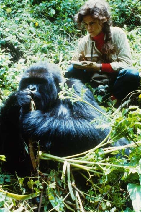 Gorillas In the Mist : The Story of Dian Fossey : Fotoğraf Michael Apted, Sigourney Weaver
