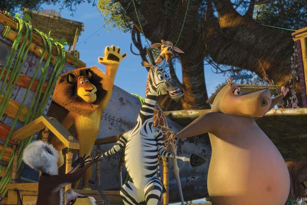 Madagaskar 2 : Fotoğraf