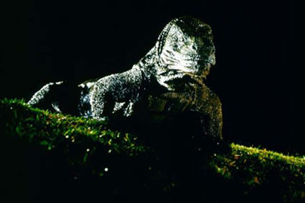 Fotoğraf Michael Lantieri