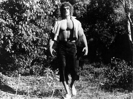 Fotoğraf Lou Ferrigno