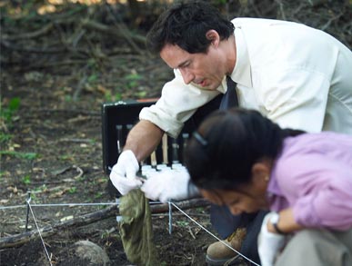 Fotoğraf Tom Cavanagh