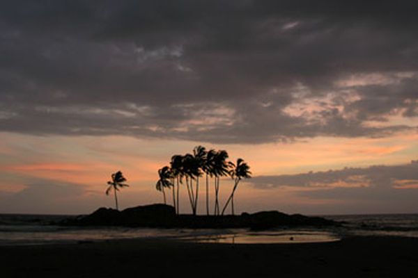 Fotoğraf Alison Thompson