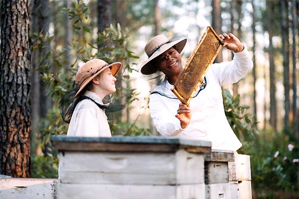 The Secret Life of Bees : Fotoğraf Queen Latifah, Gina Prince-Bythewood, Dakota Fanning