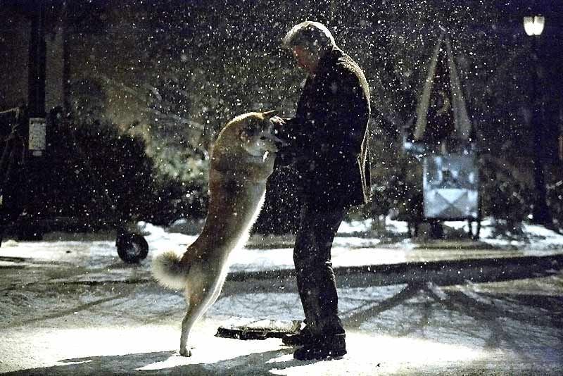 Hachi: A Dog’s Tale : Fotoğraf