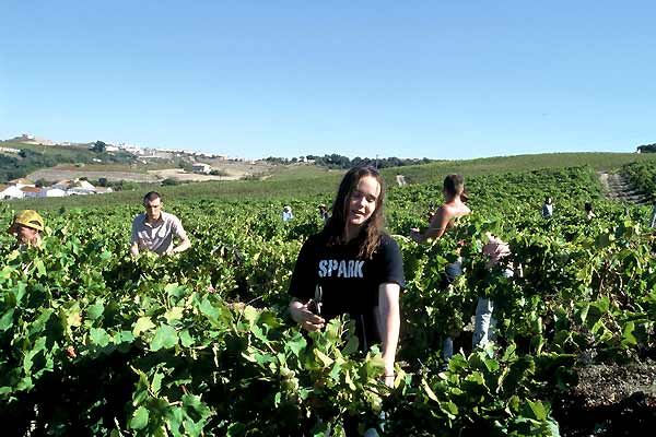 Fotoğraf Elliot Page