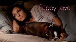 Puppy Love : Afiş