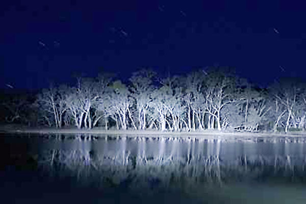 Lake Mungo : Fotoğraf Joel Anderson (II)