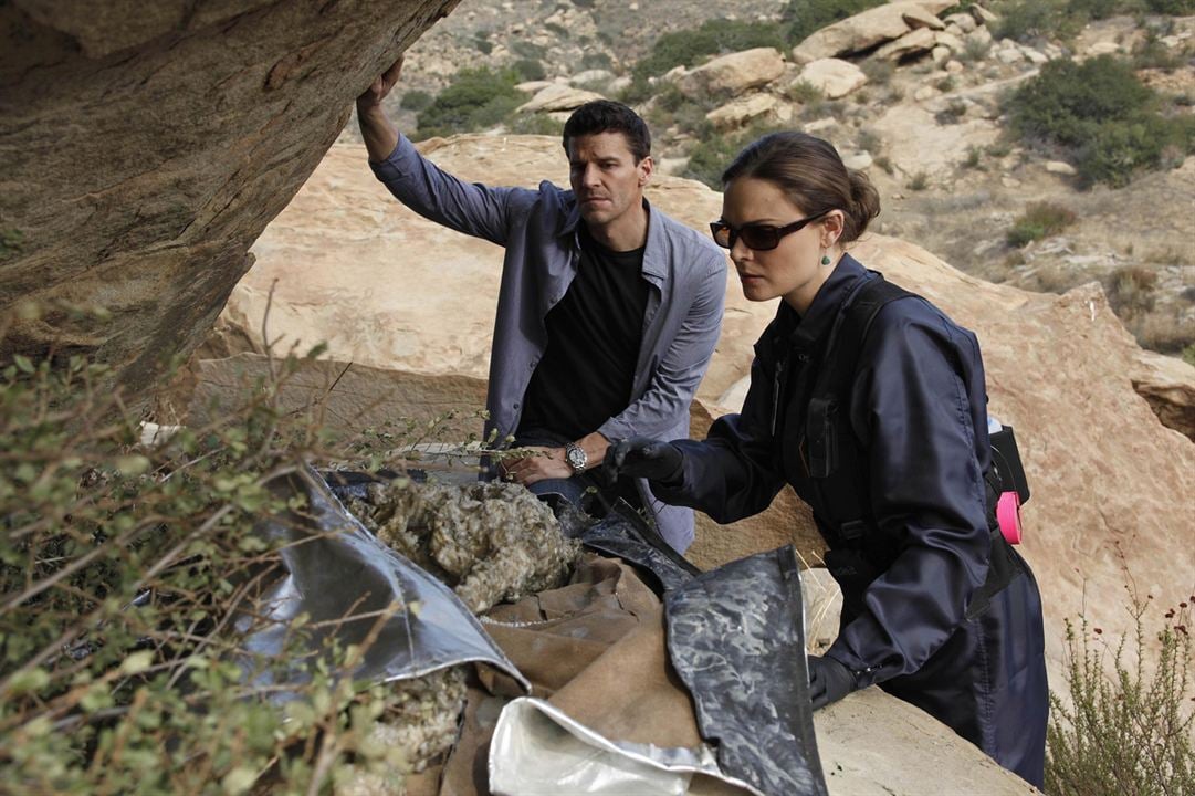 Fotoğraf Emily Deschanel, David Boreanaz