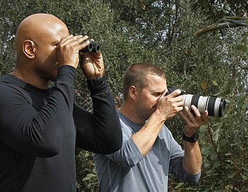 NCIS: Los Angeles : Fotoğraf LL Cool J, Chris O'Donnell