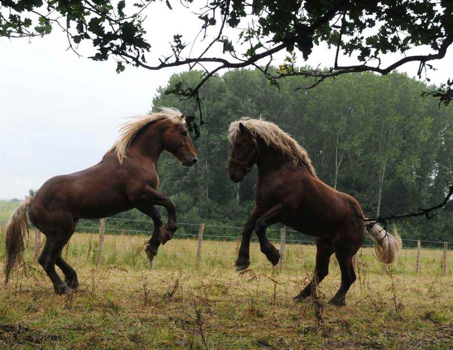 Fotoğraf Frédéric Goupil