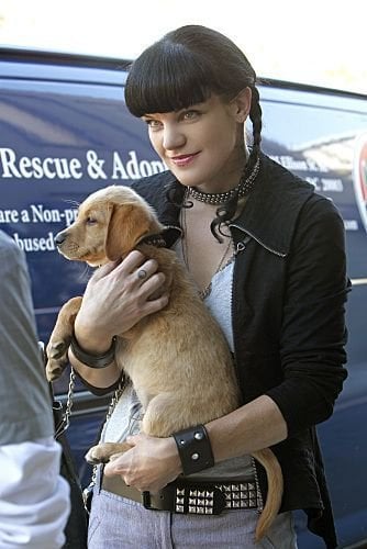 NCIS : Fotoğraf Pauley Perrette