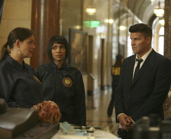 Bones : Fotoğraf Tamara Taylor, David Boreanaz, Emily Deschanel