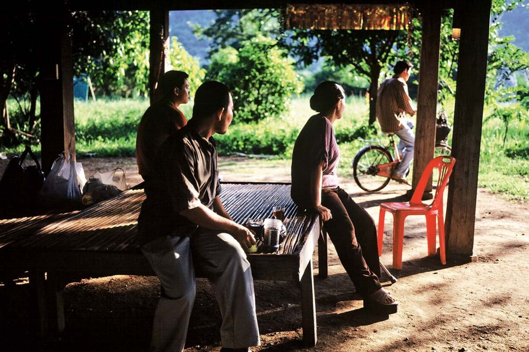 Amcam Önceki Hayatlarını Hatırlıyor : Fotoğraf Apichatpong Weerasethakul