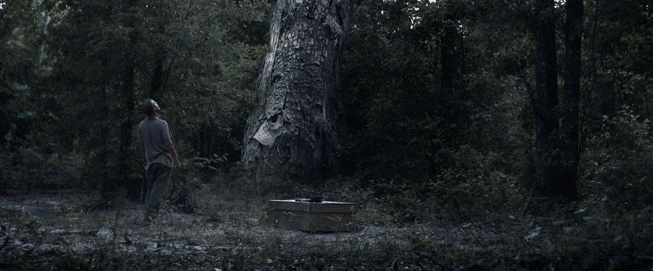 Fotoğraf Alistair Banks Griffin