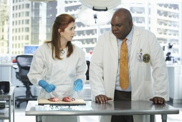 Body Of Proof : Fotoğraf Dana Delany