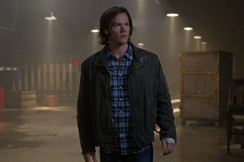 Supernatural : Fotoğraf Jared Padalecki