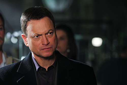 Fotoğraf Gary Sinise