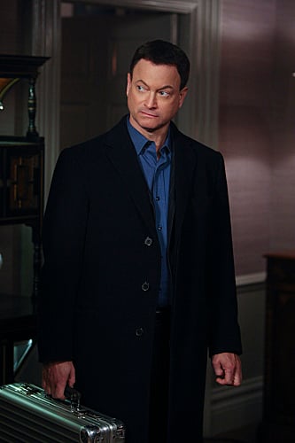 CSI: New York : Fotoğraf Gary Sinise