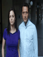 Yoldaki Kedi : Afiş