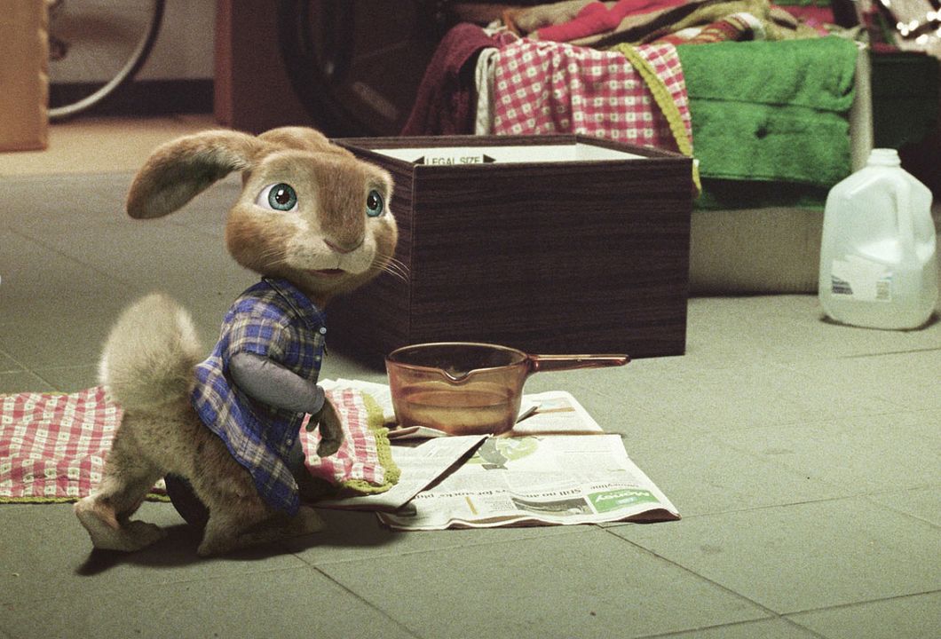 Hop : Fotoğraf Tim Hill