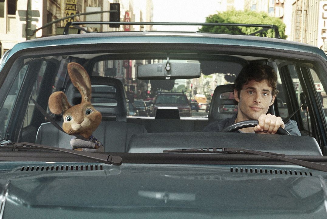 Hop : Fotoğraf Tim Hill