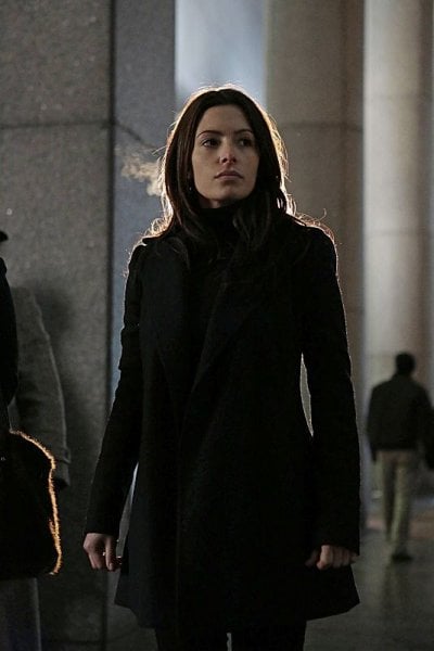 Person Of Interest : Fotoğraf Sarah Shahi