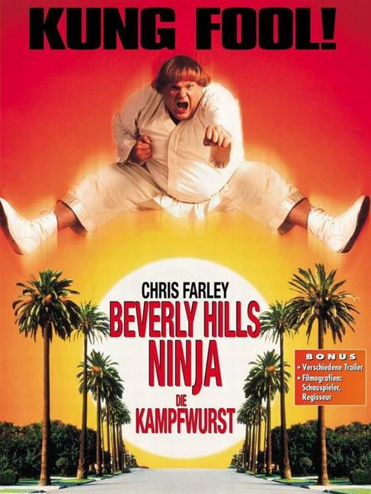 Beverly Hills Ninja : Afiş