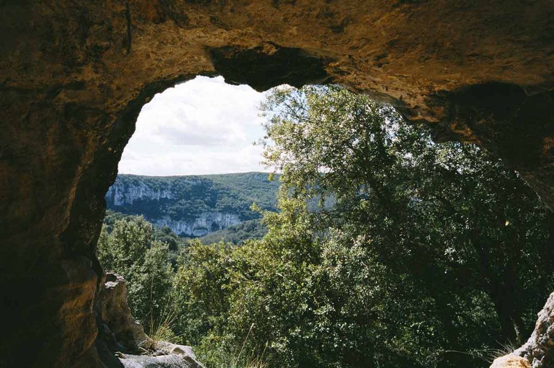 Cave Of Forgotten Dreams : Fotoğraf