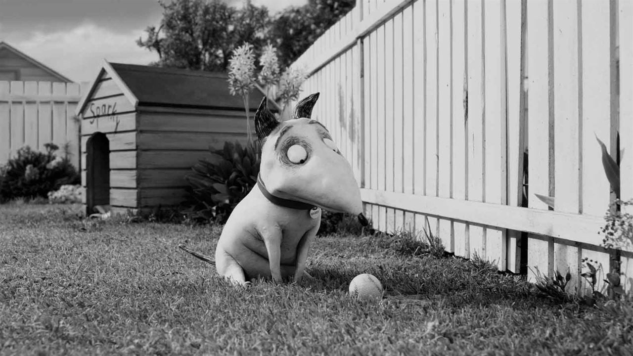 Frankenweenie : Fotoğraf