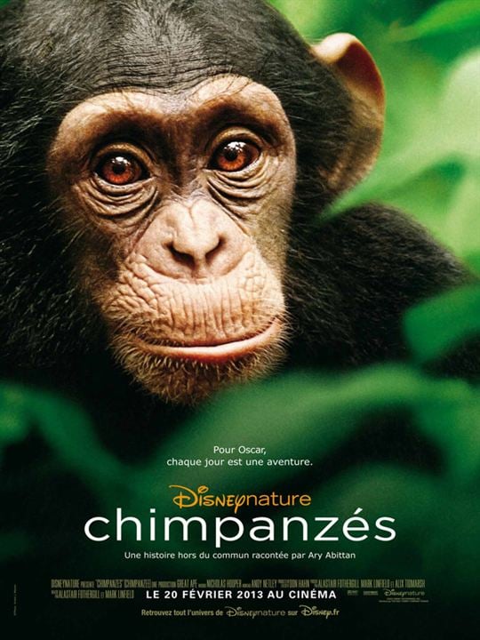 Chimpanzee : Afiş