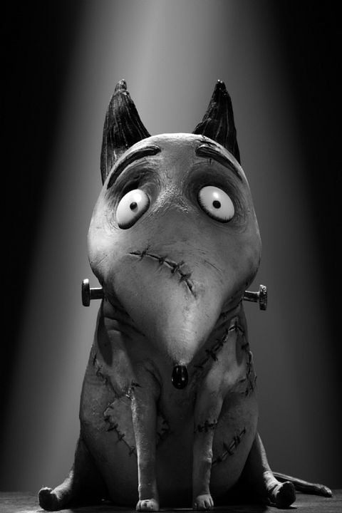 Frankenweenie : Fotoğraf