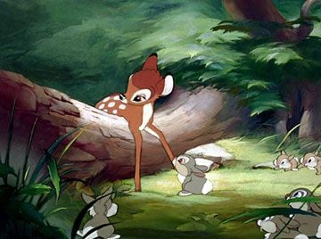 Bambi : Fotoğraf