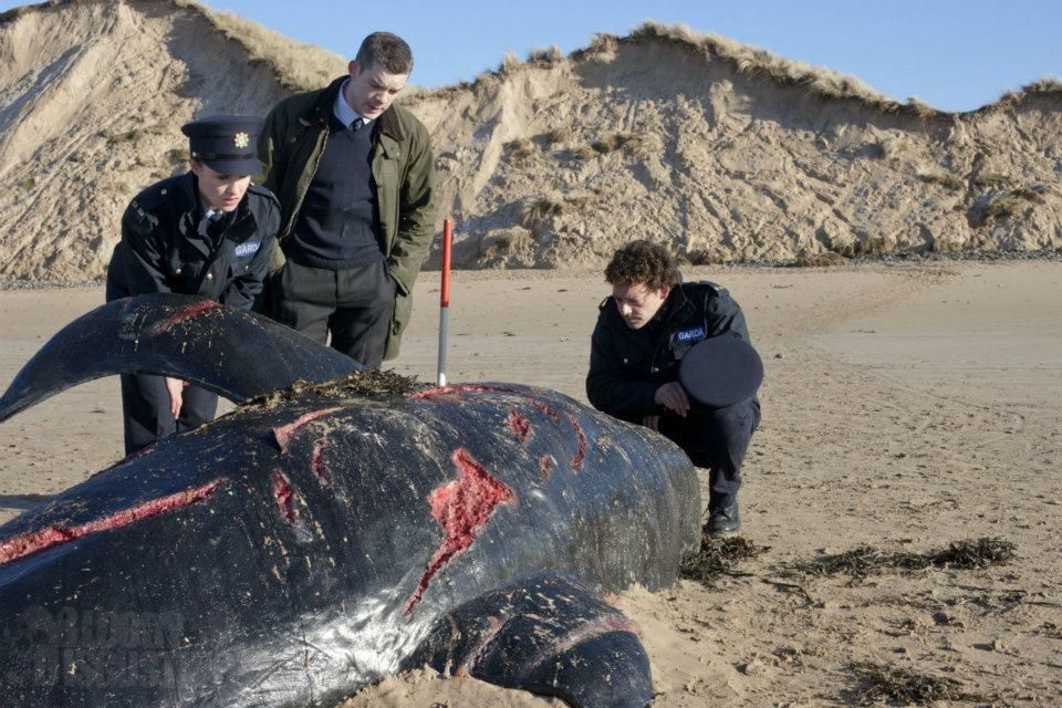 Canavarlar : Fotoğraf