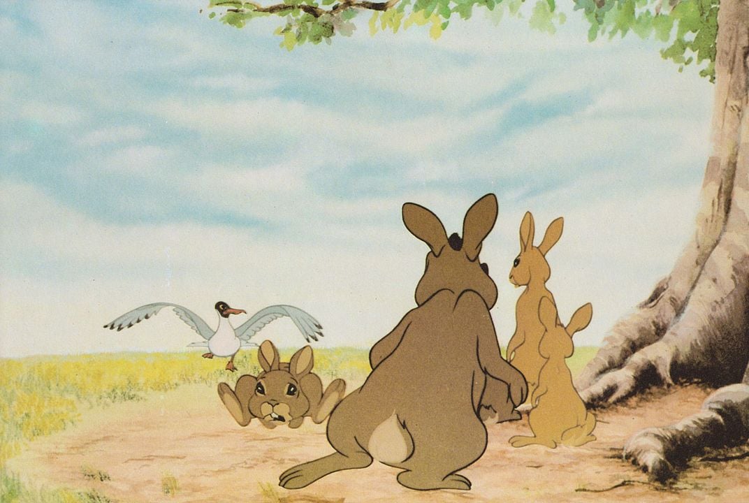 Watership Down : Fotoğraf