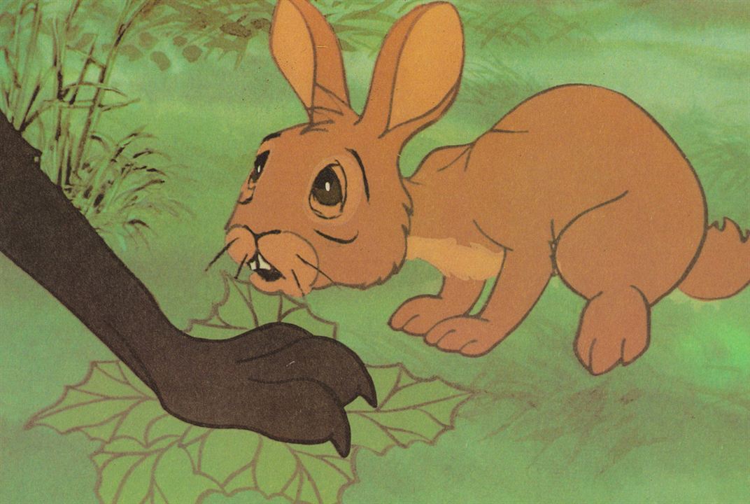 Watership Down : Fotoğraf