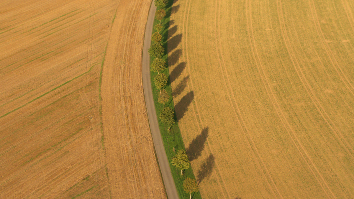 Deutschland von oben : Fotoğraf