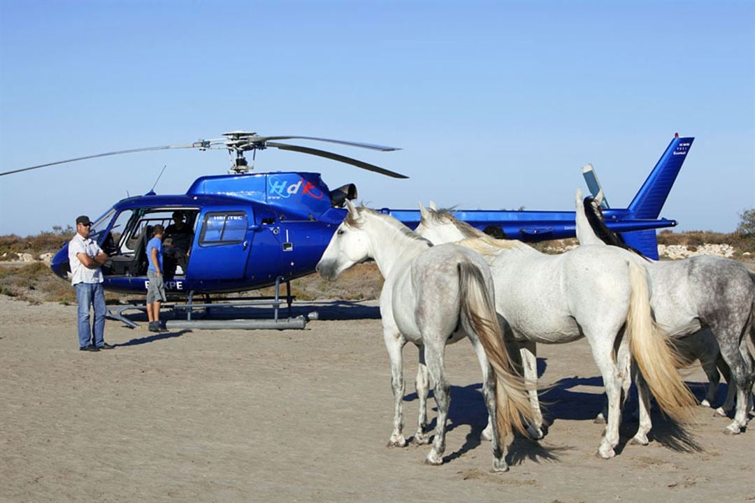 Gazelle : Fotoğraf