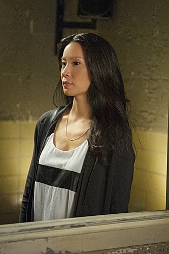 Fotoğraf Lucy Liu