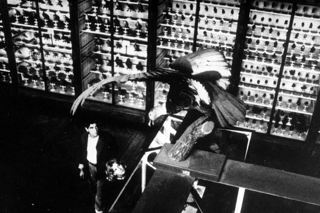 La jetée : Fotoğraf