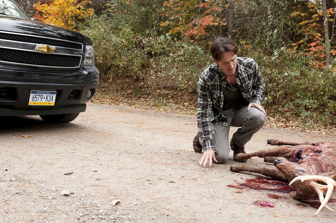 Şeytanın Ormanı : Fotoğraf