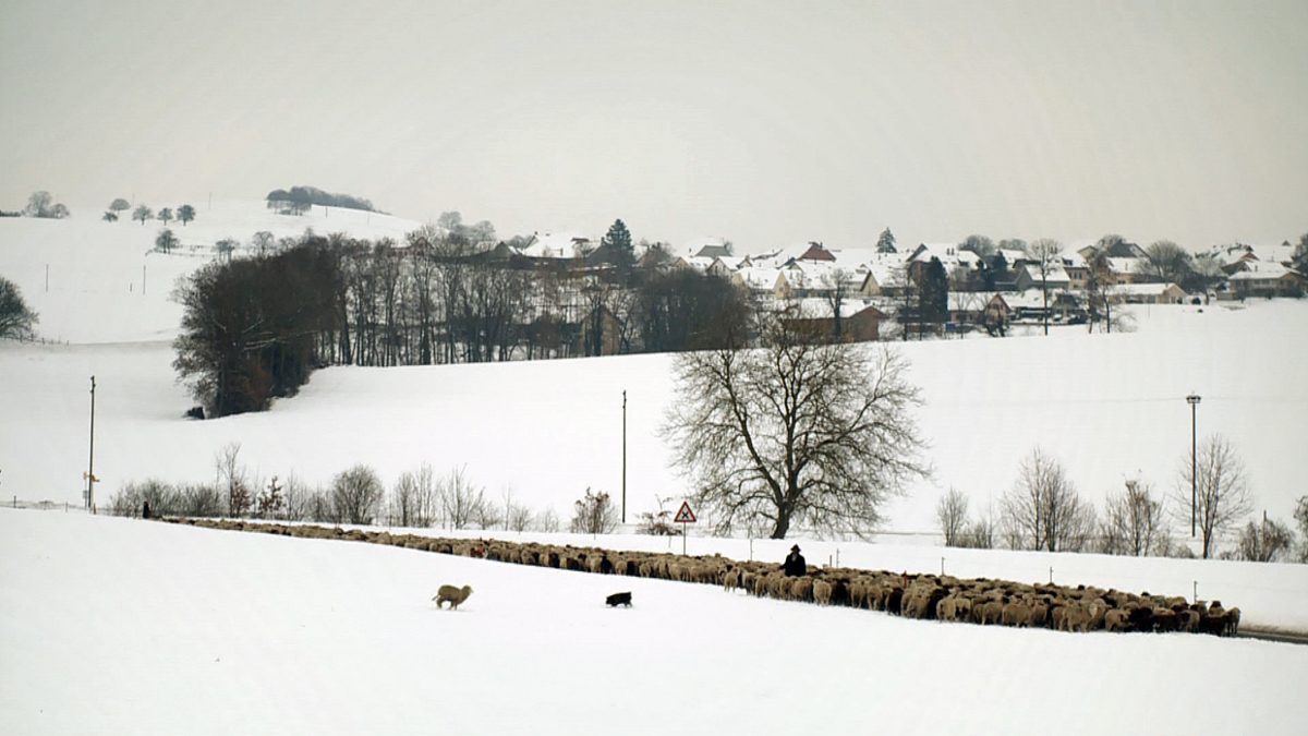 Hiver nomade : Fotoğraf