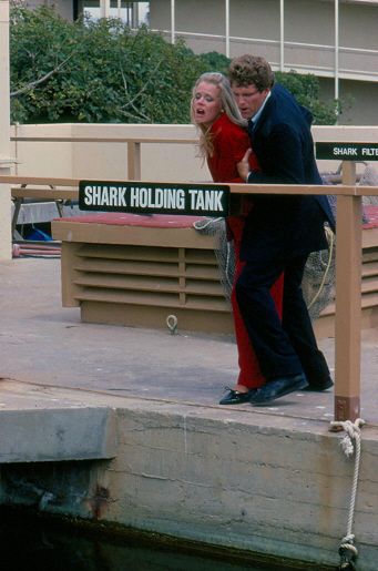 Fotoğraf Robert Newman