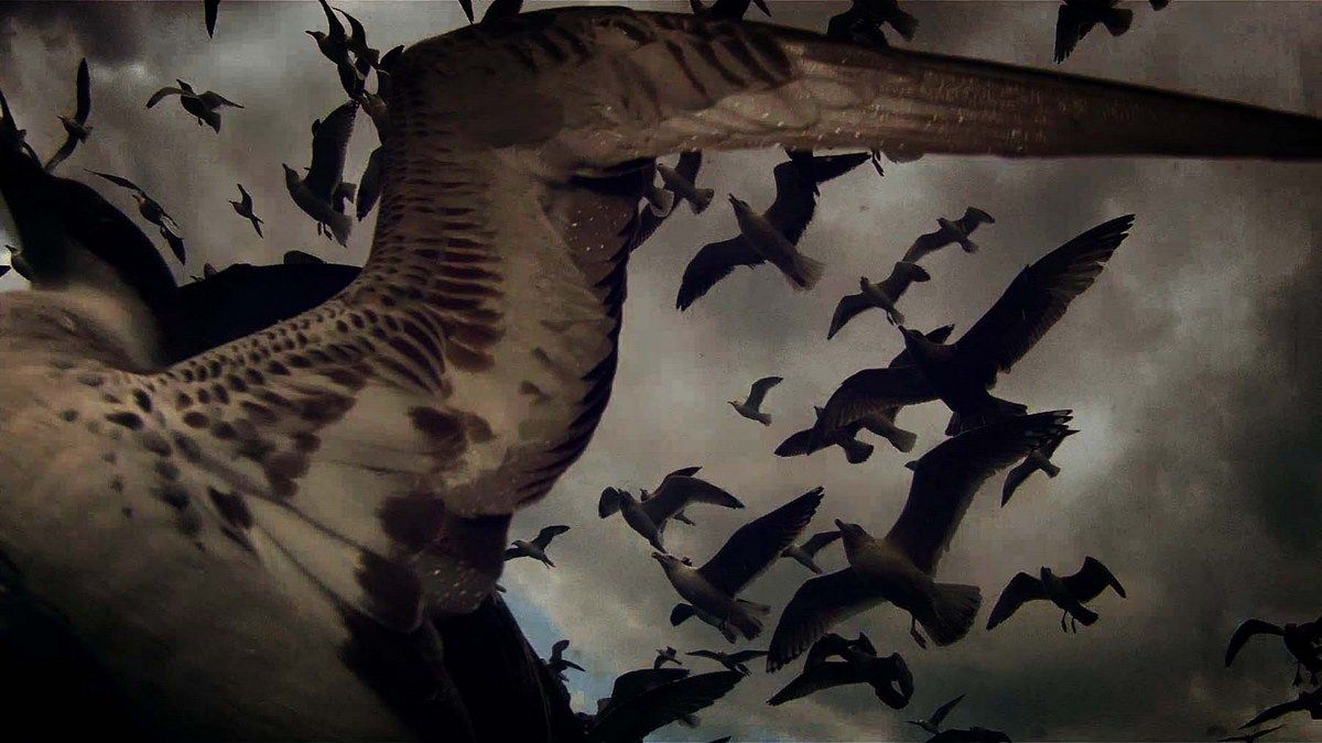 Leviathan : Fotoğraf