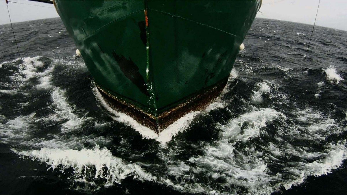 Leviathan : Fotoğraf