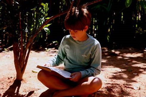 Şeker Portakalı : Fotoğraf